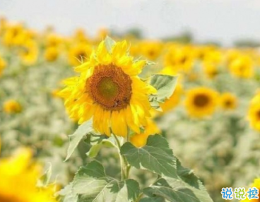 旅游發(fā)朋友圈的精美句子 朋友圈文案簡短好聽文藝 2