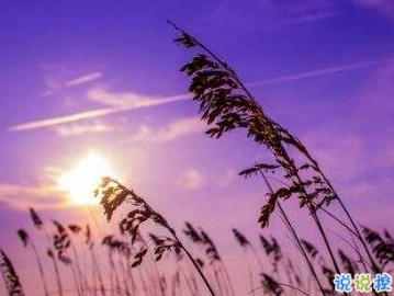 2019秋天來了的說說唯美傷感 秋天朋友圈心情說說1