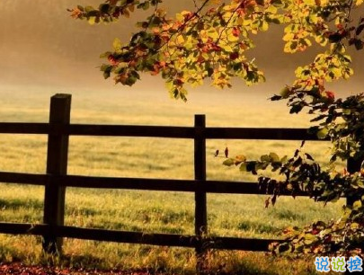 描寫秋天的句子優(yōu)美帶圖片 秋天到了微信心情說說7