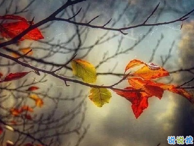 描寫秋天的句子優(yōu)美帶圖片 秋天到了微信心情說說11