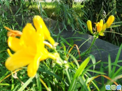 描寫秋天的句子優(yōu)美帶圖片 秋天到了微信心情說說15