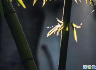 描寫秋天的句子優(yōu)美帶圖片 秋天到了微信心情說說5