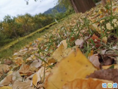 描寫秋天的句子優(yōu)美帶圖片 秋天到了微信心情說說4