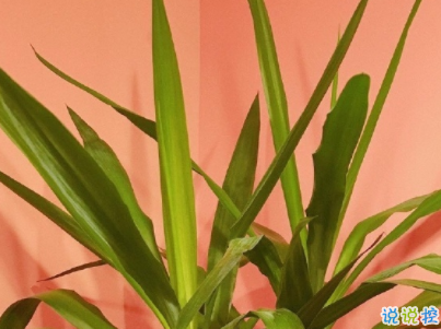 迎接新學期的勵志短句帶圖片 開學勵志說說致自己11