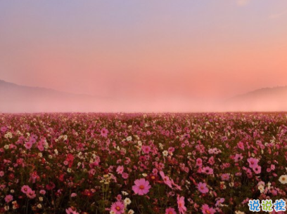 迎接新學期的勵志短句帶圖片 開學勵志說說致自己13