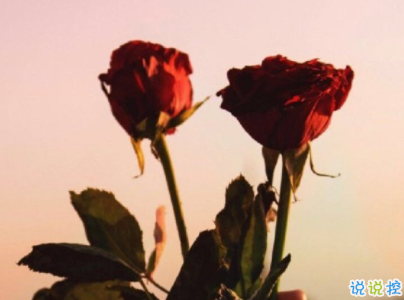 迎接新學期的勵志短句帶圖片 開學勵志說說致自己5