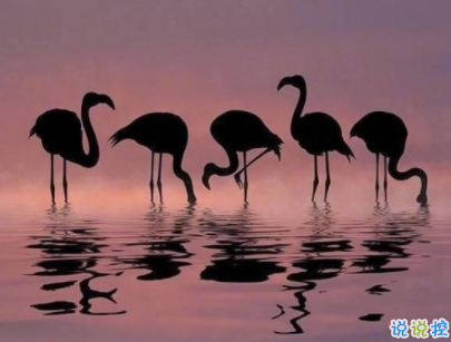 迎接新學期的勵志短句帶圖片 開學勵志說說致自己12