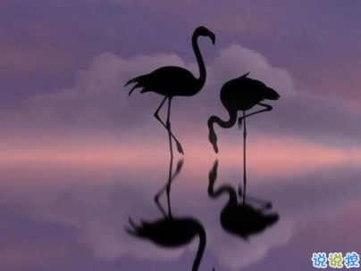 迎接新學期的勵志短句帶圖片 開學勵志說說致自己14