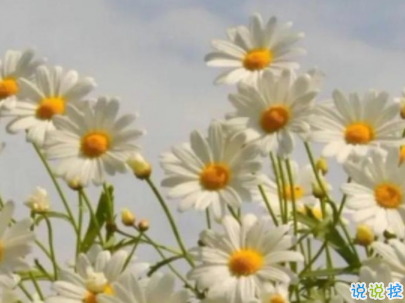 迎接新學期的勵志短句帶圖片 開學勵志說說致自己1