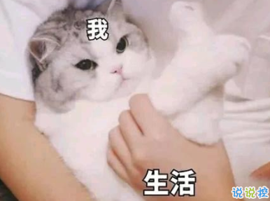 超級皮的句子搞笑可愛 樂開懷的搞笑說說大全1