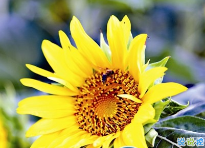 九月你好勵志說說 2019九月抖音勵志說說心情2