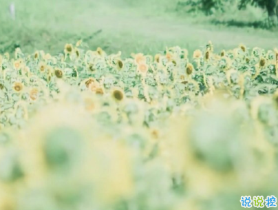 發(fā)朋友圈的潮流句子帶圖片 今年很火的金句高逼格6