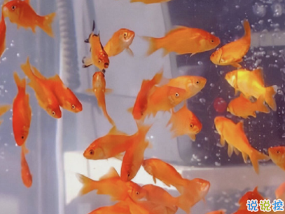 發(fā)朋友圈的潮流句子帶圖片 今年很火的金句高逼格4