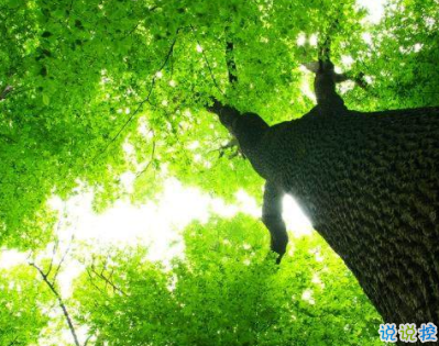 男生朋友圈哲理說說句子 富有哲理的句子唯美經(jīng)典1