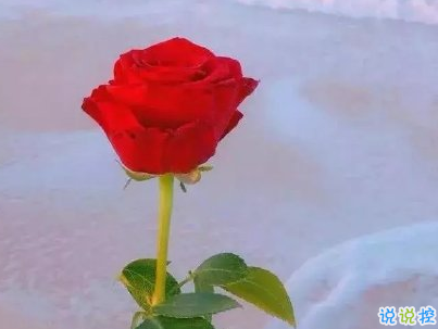 中秋節(jié)旅游發(fā)的說(shuō)說(shuō)配圖 2019外出玩發(fā)微信的句子5