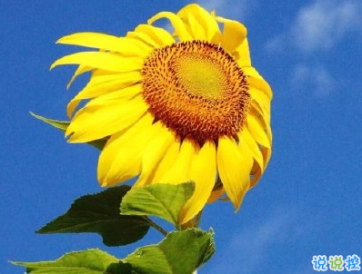 中秋節(jié)旅游發(fā)的說(shuō)說(shuō)配圖 2019外出玩發(fā)微信的句子1