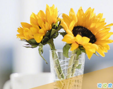 描寫閨蜜友誼的唯美句子 超暖心的友情句子簡(jiǎn)短好聽1