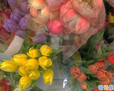 描寫閨蜜友誼的唯美句子 超暖心的友情句子簡(jiǎn)短好聽2