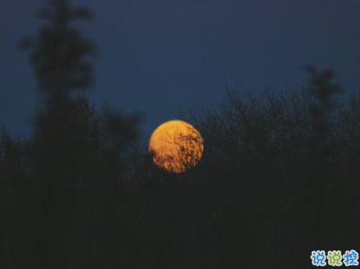 中秋節(jié)賞月的句子帶圖片 中秋團(tuán)圓賞月的說說20195