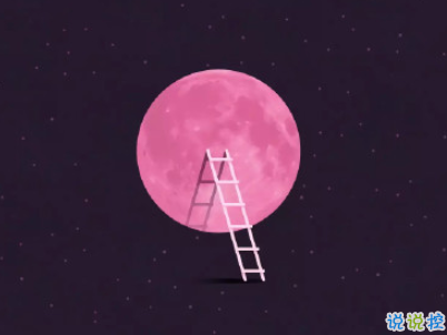 中秋節(jié)賞月的句子帶圖片 中秋團(tuán)圓賞月的說說20191