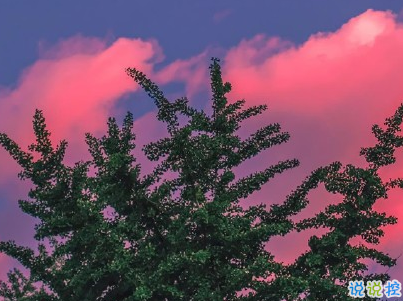 早安調(diào)皮句子帶圖片 女生朋友圈可愛早安心語14