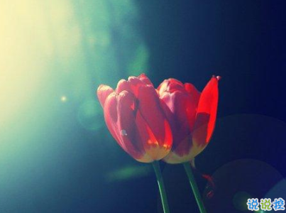 經(jīng)典說說帶圖片霸氣十足 微信經(jīng)典說說很酷很拽4