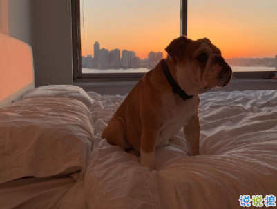 陽光勵(lì)志說說致自己配圖 理想高于天越苦越向前15