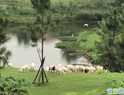 陽光勵(lì)志說說致自己配圖 理想高于天越苦越向前14