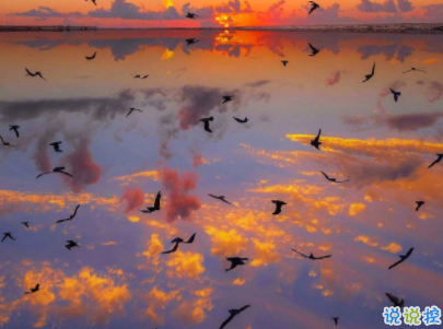 陽光勵(lì)志說說致自己配圖 理想高于天越苦越向前13