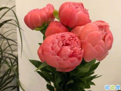 陽光勵(lì)志說說致自己配圖 理想高于天越苦越向前2