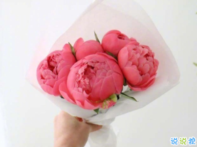 陽光勵(lì)志說說致自己配圖 理想高于天越苦越向前12