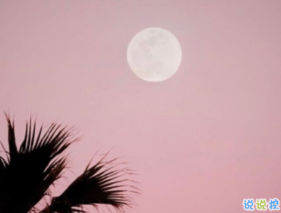 陽光勵(lì)志說說致自己配圖 理想高于天越苦越向前6