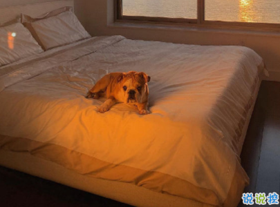 早安心語十字左右?guī)D片 早安唯美一句話唯美說說精選12