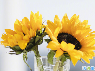 早安心語十字左右?guī)D片 早安唯美一句話唯美說說精選4