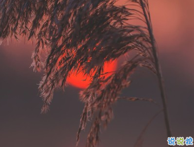 人生感悟簡(jiǎn)短經(jīng)典句子配圖 決定你命運(yùn)的是自己7