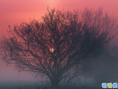 人生感悟簡(jiǎn)短經(jīng)典句子配圖 決定你命運(yùn)的是自己1