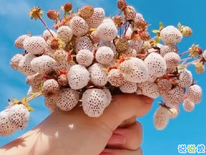 人生感悟簡(jiǎn)短經(jīng)典句子配圖 決定你命運(yùn)的是自己2