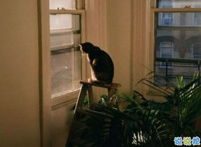 不離不棄的好基友說(shuō)說(shuō)帶圖片 男生兄弟情朋友圈說(shuō)說(shuō)12