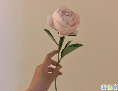 30條肉麻暖心情話合集 壞壞的撩人情話獨(dú)一無(wú)二1