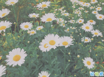 出去玩曬朋友圈的句子配圖 抖音最火旅游說說短句10