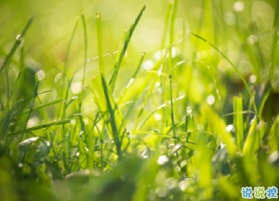 最新早安激勵(lì)語(yǔ)配圖 朋友圈早安說(shuō)說(shuō)簡(jiǎn)短經(jīng)典 2