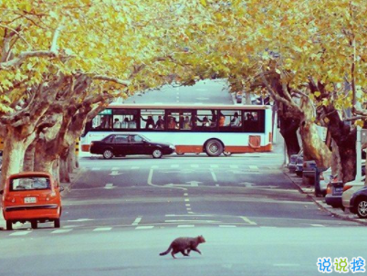 最新早安激勵(lì)語(yǔ)配圖 朋友圈早安說(shuō)說(shuō)簡(jiǎn)短經(jīng)典 8