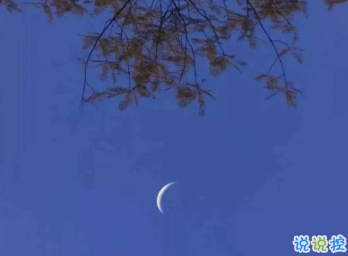 失望心涼的說(shuō)說(shuō)2019最新 心涼了再也捂不熱的說(shuō)說(shuō)2