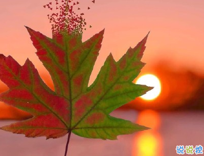 看日出日落的心情說說帶圖片 欣賞日出日落的句子1