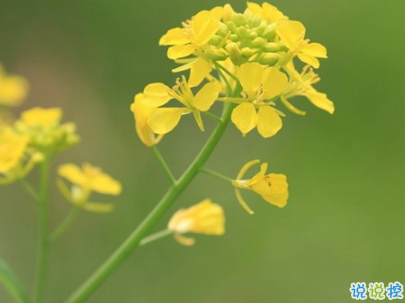 2019重陽(yáng)節(jié)搞笑說(shuō)說(shuō)大全 重陽(yáng)節(jié)朋友圈幽默祝福語(yǔ)配圖7