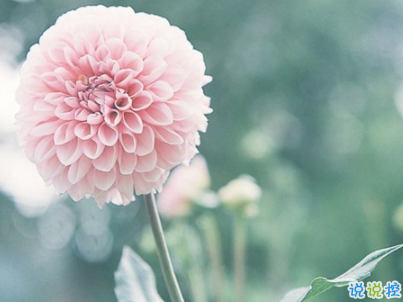 2019重陽(yáng)節(jié)搞笑說(shuō)說(shuō)大全 重陽(yáng)節(jié)朋友圈幽默祝福語(yǔ)配圖15