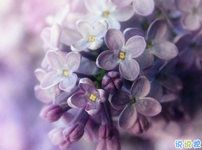 2019重陽(yáng)節(jié)搞笑說(shuō)說(shuō)大全 重陽(yáng)節(jié)朋友圈幽默祝福語(yǔ)配圖13