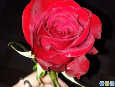 抖音最火文藝唯美說說配圖 美到窒息的文藝句子帶圖片12