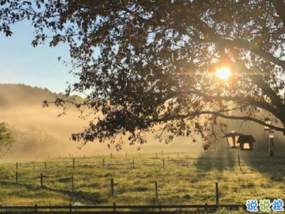 抖音最火文藝唯美說說配圖 美到窒息的文藝句子帶圖片13
