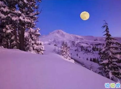 下雪天朋友圈唯美說說配圖 下雪了說說簡短一句話6